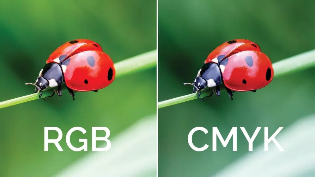 تفاوت RGB و CMYK